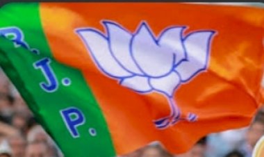 पूर्व सीपीएस व हमीरपुर से विधायक उर्मिल ठाकुर, चेतन ब्रगटा जुब्बल कोटखाई, राकेश चौधरी धर्मशाला और जोगिंदर पंकू जिला परिषद शाहपुर भाजपा में शामिल