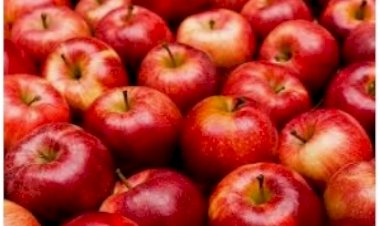 सूचना प्रौद्योगिकी के सर्वाेत्कृष्ट उपयोग से हिमाचल में हुए क्रांतिकारी सुधार