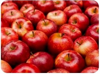 सोलन सेब मंडी  में रोजाना 10 से 12,000 पेटियां
