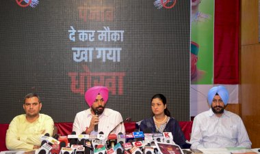 पंजाब देकर मौका, खा गया धोखा, हिमाचल के लोग  आप के झांसे में न आएं बीजेपी की बी टीम आम आदमी पार्टी पर भरोसा कर अपना वोट न करें खराबः ढिल्लों