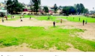 मुख्यमंत्री एक बीघा योजना महिलाओं के जीवन में लाई खुशहाली