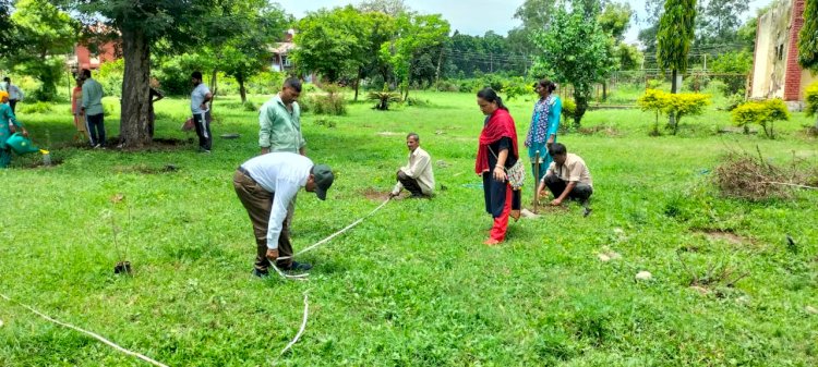 लम्पी चमड़ी रोग की रोकथाम व जागरूकता के लिए विभिन्न स्तरों पर सशक्त प्रयास