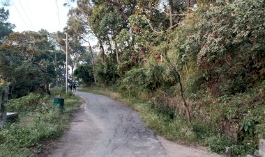 विला राउंड में नही कटा  ग्रास पैदल चलने वालों आ रही परेशानी