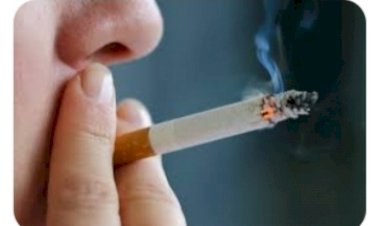 सार्वजनिक स्थलों पर धुम्रपान करने पर होगा जुर्माना-उपायुक्त