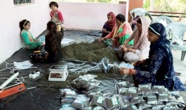 कांगड़ा जिले में 7693 स्वयं सहायता समूह के माध्यम से मातृशक्ति बढ़ रही स्वावलंबन की ओर