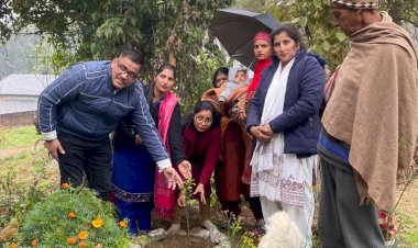 पौधारोपण से दिया बेटी बचाओ, बेटी पढ़ाओ का संदेश