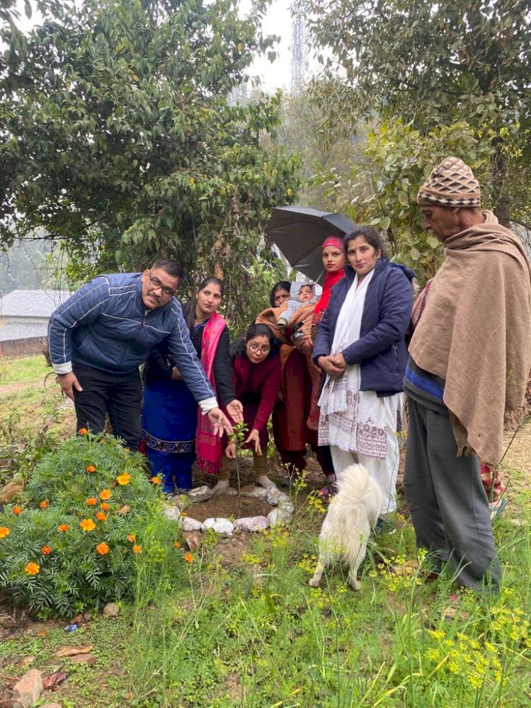 पौधारोपण से दिया बेटी बचाओ, बेटी पढ़ाओ का संदेश