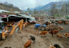 गौसदन कटराईं  में सफाई ब्यबस्था पर  विशेष ध्यान दे।