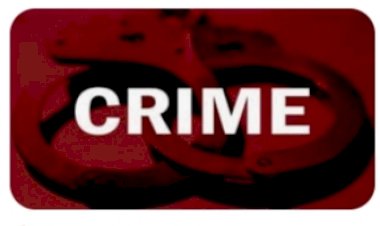 लारजी में 441 ग्राम चरस के साथ हमीरपुर के दो युवक पुलिस गिरफ्त में