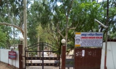 जवाहर नवोदय विद्यालय में ऑनलाईन आवेदन की तिथि 15 फरवरी तक
