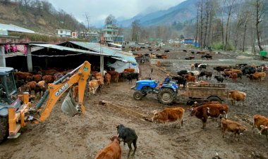 गौसदन कटराईं  में सफाई ब्यबस्था पर  विशेष ध्यान दे।