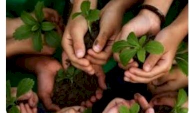 ग्रीन स्कूल प्रोग्राम के अंतर्गत हिमाचल को देश का सर्वश्रेष्ठ राज्य पुरस्कार तथा जीएसपी गोल्ड पार्टनर अवार्ड