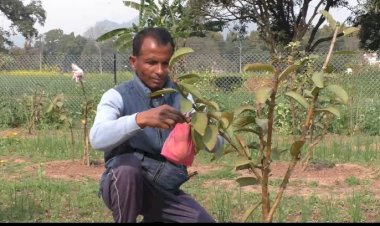 बेरोजगार युवाओं के लिए प्रेरणास्त्रोत बने जेबीटी शिक्षक दलबीर सिंह.....