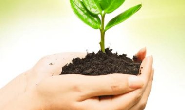 हमीरपुर में आईटीआई, बीटेक और तीन वर्षीय डिप्लोमाधारकों के इंटरव्यू 27 को