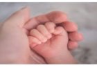 मातृ या शिशु की मृत्यु के मामलों की तुरंत दें रिपोर्ट