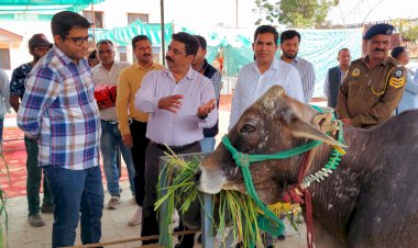 एक दिवसीय जिला स्तरीय पशु पालक जागरूकता शिविर आयोजित पशु पालकों की आय सुदृढ़ करने के लिए संचालित की जा रही विभिन्न योजनाएं - एडीसी