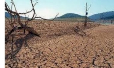 सूखे से निपटने के लिए विभाग ने बागवानों को दी आवश्यक सलाह