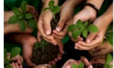 एफसीए  से सम्बंधित ओपचारिताओं को पूर्ण करने के लिए सम्बंधित विभाग, वन विभाग के अधिकारिओं के साथ आपसी तालमेल से कार्य करे ।-उपायुक्त कुल्लू  आशुतोष गर्ग