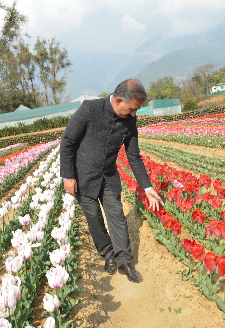 मुख्यमंत्री ने पालमपुर उपमण्डल में चंदपुर-सिंबलू सम्पर्क सड़क के उन्नयन कार्य का शिलान्यास किया