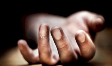 पहाड़ी से गिरे पत्थर की चपेट में आने से भेड़पालक की दर्दनाक मौत