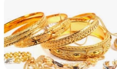 आबकारी विभाग ने 1.10 करोड़ रुपए के सोने के आभूषण पकड़े
