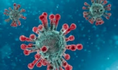 प्रदेश में कोरोना के सक्रिय मामले 1739 के पार, सिरमौर में कोरोना पॉजिटिव बुजुर्ग ने तोडा दम