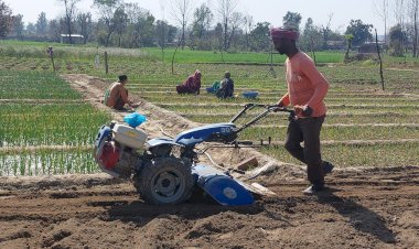 दिव्यांगता के बावजूद रमन कुमार प्राकृतिक विधि से तैयार फसलों से अर्जित कर रहे सालाना 4 लाख रूपये...... रसायनिक खेती छोड़कर प्राकृतिक खेती को अपना रहे जिला ऊना के किसान....