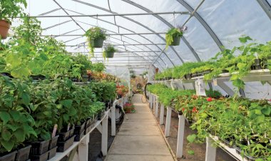 एचपी शिवा प्रोजेक्ट के तहत बंगाणा विकास खंड में 400 हेक्टेयर भूमि पर होगा ...........बागवानी विकास, अगले 5 वर्षों में खर्च होंगे लगभग  200 करोड़ रुपए