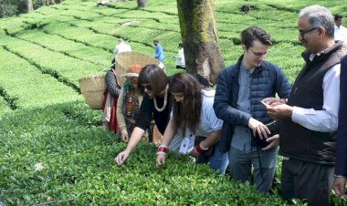 जी20 डेलीगेट्स ने लिया धर्मशाला भ्रमण का आनंद....... लाईव कांगड़ा पेंटिंग में आजमाए हाथ, चाय के बागानों में पत्तियां चुनने का लिया अनुभव