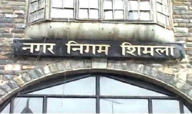 102 उम्मीदवार चुनावी मैदान में..........5 उम्मीदवारों ने नाम लिया वापस.....नगर निगम चुनाव...