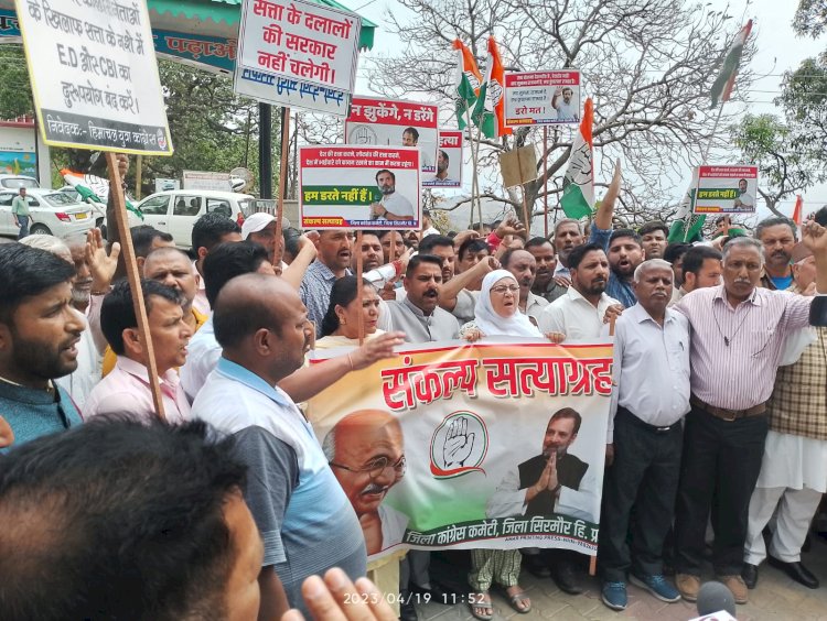 राहुल गांधी संसद सदस्यता खत्म करने मामले में कांग्रेस का प्रदर्शन जारी.......नाहन में सड़कों पर उतरे कांग्रेस के कार्यकर्ता.....