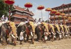 केरल में हिन्दुओं का....... त्रिशूर पूरम उत्सव शुरू  वडक्कुनाथन मंदिर के जुलूस में हाथियों की शानदार परेड ......