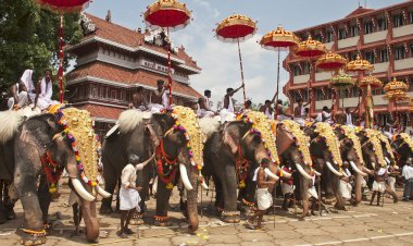 केरल में हिन्दुओं का....... त्रिशूर पूरम उत्सव शुरू  वडक्कुनाथन मंदिर के जुलूस में हाथियों की शानदार परेड ......