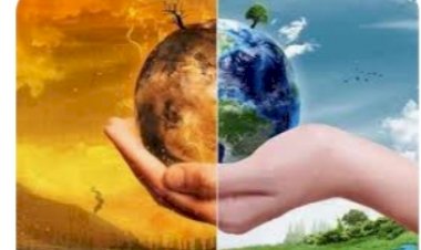 मुख्य सचिव ने लोगों को पर्यावरण संरक्षण में अपना सहयोग देने की अपील की......  जागरूकता अभियान चलाने के लिए इको-क्लबों के नेटवर्क को भी सक्रिय करे.....