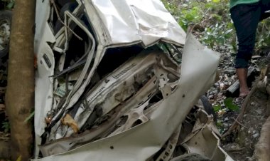 कार गहरी खाई में गिरी  ..........पति-पत्नी सहित चार लोगों की  मौत.......पबोर के नजदीक लानाचेता राजगढ़ मार्ग पर  दर्दनाक हादसा  .....