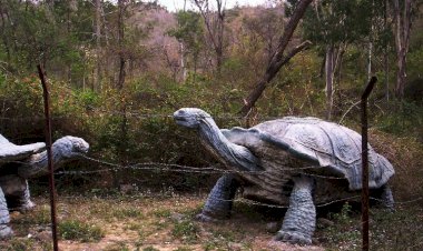 भारतीय भूवैज्ञानिक सर्वेक्षण की कार्यशाला 19 को सकेती में-तिवारी...... विलुप्त होती वन्य प्राणियों की प्रजातियों के संरक्षण की दी जाएगी जानकारी......