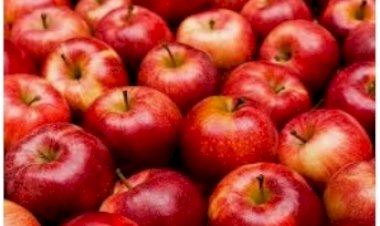 दुकानधारक... वस्तुओं की मूल्य सूची प्रदर्शित करना करें सुनिश्चित...