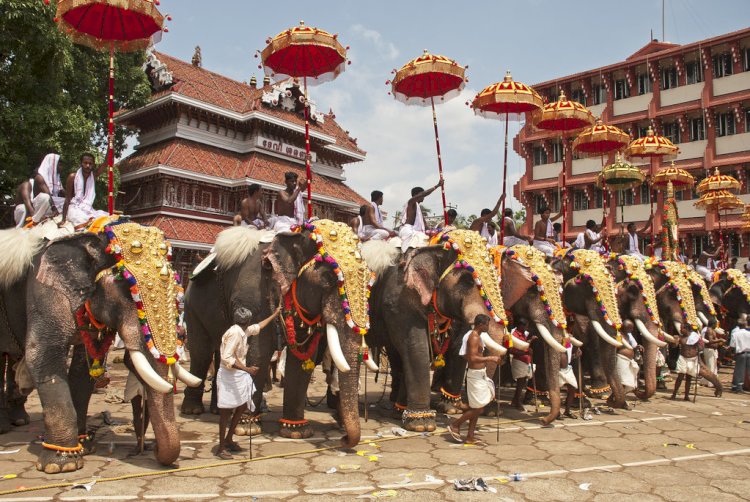 केरल में हिन्दुओं का....... त्रिशूर पूरम उत्सव शुरू  वडक्कुनाथन मंदिर के जुलूस में हाथियों की शानदार परेड ......
