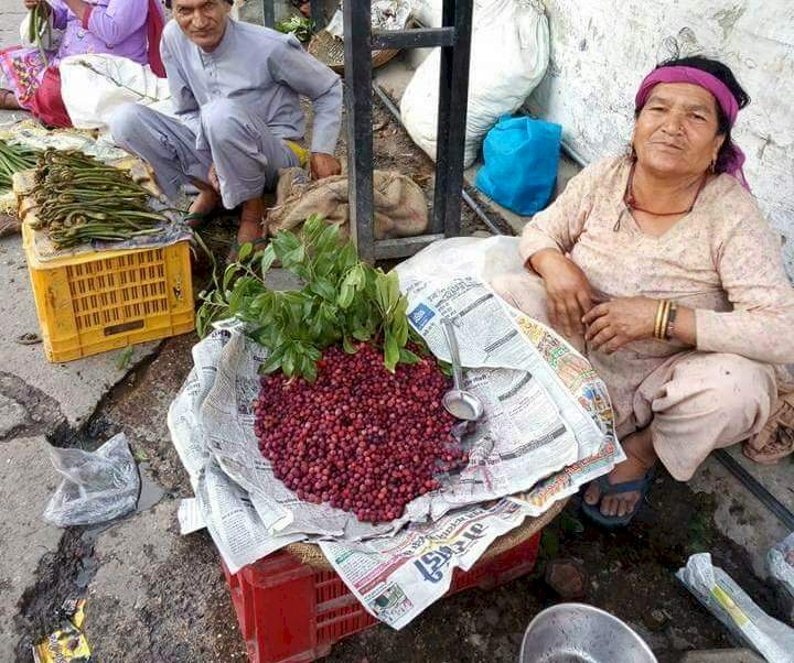 स्वाद व औषधीय गुणों से..... भरपूर  जंगली फल काफल...