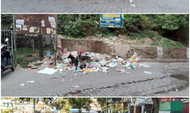 पढ़े लिखे लोग भी पीछे नहीं है खुले में कचरा फैं कनें में...... डोर- टू -डोर गारेबज स्कीम को लग रहा है झटका .........