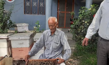 सफलता की कहानी .......नौकरी की क्या जरुरत? .... जब घर में ही पैदा कर रहे लाखों का शहद......गोपाल चंद कपूर के परिवार की....... 3 पीढिय़ां एक साथ जुटी हैं शहद के उत्पादन एवं कारोबार में
