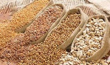 लाखों लोगों का जीवनयापन सरल बना रहा है सस्ता राशन....... सिरमौर जिला में....... 60 हजार स्कूली बच्चों को परोसा जा रहा है मिड-डे-मील