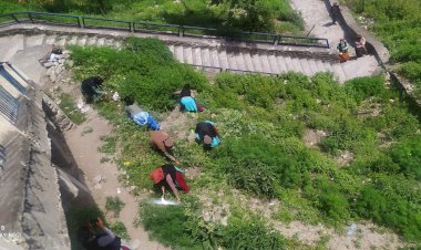 किन्नौर जिला के विभिन्न स्थानों पर...... चलाया गया भांग उखाड़ो अभियान......