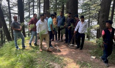 पूर्व मुख्यमंत्री स्वर्गीय राजा वीरभद्र सिंह के जन्मदिवस पर किया पौधरोपण..... युवा कांग्रेस उपाध्यक्ष रोहित महाजन और टीम ने रोपे 500 पौधे