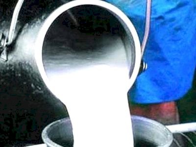 हिम गंगा योजना: दूध आधारित अर्थव्यवस्था की ओर बढ़ते कदम..... प्रथम चरण के लिए हिमाचल प्रदेश दुग्ध प्रसंघ को 20 करोड़ रुपये की अनुदान राशि स्वीकृत.....