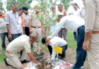 पर्यावरण संरक्षण के लिए पौधा रोपण जरूरी - राघव शर्मा.....उपायुक्त ने बसाल में रोपित किया बेहड़ा का औषधीय पौधा