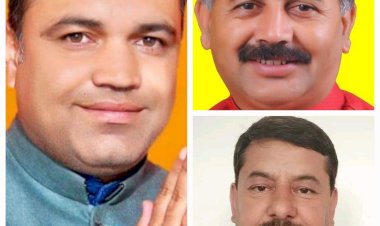 सेब उत्पादकों के मामले सुलझाने में सरकार विफल........ समय रहते सड़के चालू नहीं हुई तो जनता सड़कों पर आएगी  : भाजपा