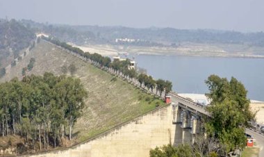 पौंग जलाशय से छोड़ा जाएगा पानी..... बहाव क्षेत्र से रहें दूर: डीसी