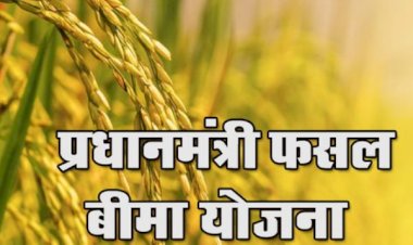 प्रधानमंत्री फसल बीमा योजना के तहत.. बीमा करवाने की अन्तिम तिथि 31 जुलाई..