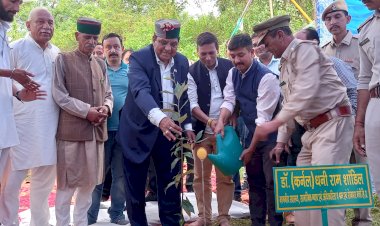 ज़िला सोलन में लगभग 200 हेक्टेयर भूमि पर किया जाएगा पौधारोपण - शांडिल